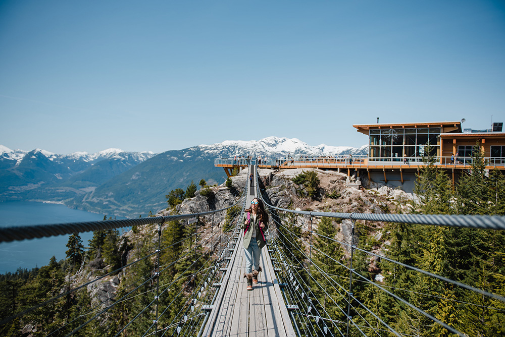 Sky Pilot Suspension Bridge