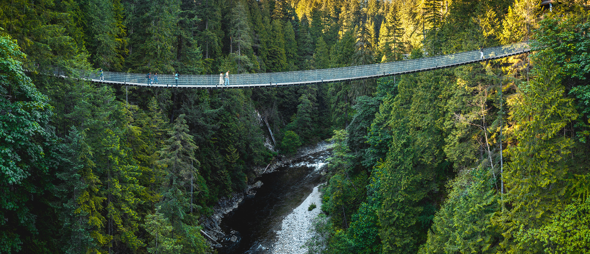 suspension-bridge